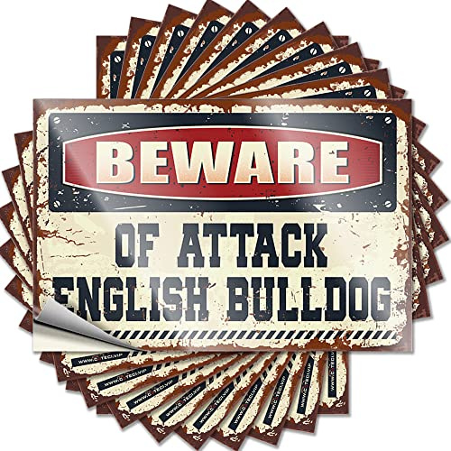 Adesivo divertente con bulldog inglese Beware of Attack, 10 pezzi, adesivi divertenti per paraurti e finestrini dell'auto (6 x 9 cm)