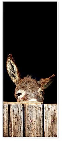 banjado® Magnettafel 30 x 75cm / Magnetwand aus Metall/Magnetpinnwand als Memoboard/Pinnwand Magnettafel Küche, Büro, Kinderzimmer inkl. 4 Magnete & Montageset - Motiv Esel