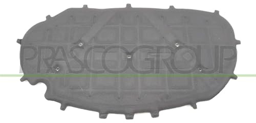 PRASCO VG0381945 Motorraumdämmung Kompatibel mit VW Golf 6 5K1 5K0863831A 5K0863831C 5K0863831G