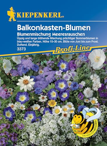 Kiepenkerl Profi-Line Blumensamen-Mischung Balkonkasten-Blumen Meeresrauschen 3373 – Sommerblumen - lang blühende Sorte - Höhe 15-30 cm - Saatgut