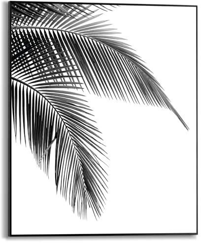 REINDERS Gerahmtes Bild, Palmen Blatt, Küche, Bilder, Wanddeko, Room Decor, MDF, Schwarz-Weiß, 50 x 40