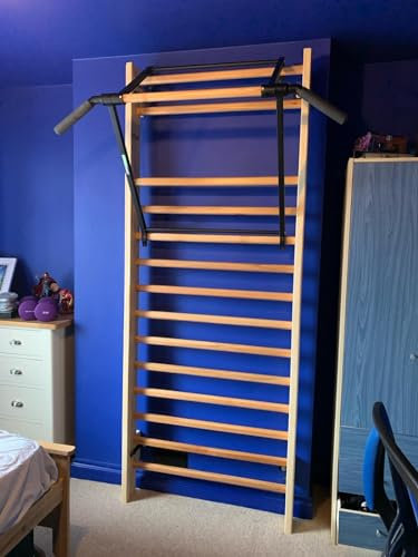 ARTIMEX Klimmzugbügel mit seitlichen Griffe für Sprossenwand, zusammenklappbar - Wird in Heimen, Fitnessstudios oder Fitnesscentern für Training und Fitness verwendet, Artikelnr. 260 (Grau (RAL 7016))