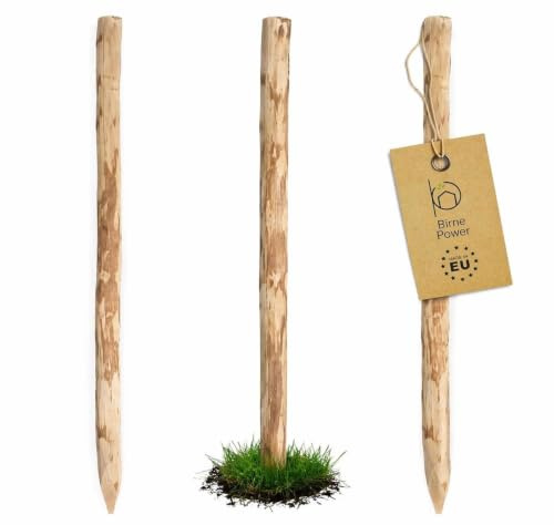 BirnePower Zaunpfosten Staketenzaun Haselnuss Holz Pfahl (100cm) Natur Zaunpfahl gespitzt für Gartenzaun, Bauernzaun, Holzzaun, Beeteinfassung & Sichtschutz, Stabile Konstruktion, Ø 6-8cm