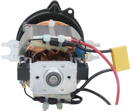 TH1000XUE Picadora de Carne de 220V, máquina de Cocina, Motor, Accesorios for picadora de Carne, Motor Universal de Alta Velocidad con Soporte de 80w - 500w(80W 9000r min)