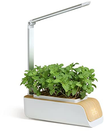 BJTYHT di impianto idroponico Pianta Flowerpot Famiglia Smart Plant Smart Plant Flowerpot Auto-Assorbimento Sollessing Coltivazione di Coltivazione (Color : Smart Flower Pot, Size : 0)