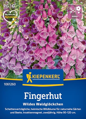 Kiepenkerl Fingerhutsamen Wildes Waldglöckchen 1061260, Blumensaat | Schattenverträgliche Fingerhut-Pflanze für naturnahe Gärten, Blumenwiese, Höhe 90-120 cm, zweijährig