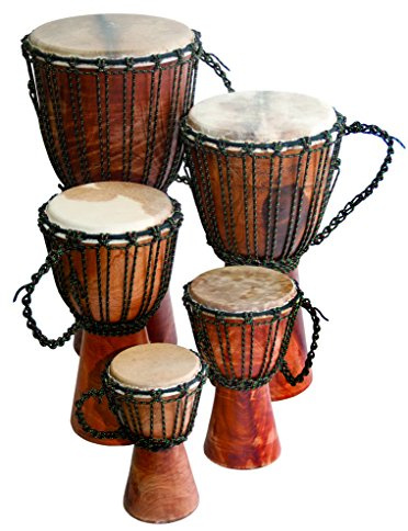 Djembe Beginner Plain, 24 tall, 9-10.5 head
