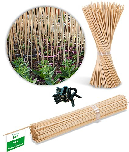 Novatool Lot de 100 bâtons de division de 80 cm et 20 fixations pour plantes I Tuteur en bambou I Tuteur de plantes d'intérieur I Barre en bambou