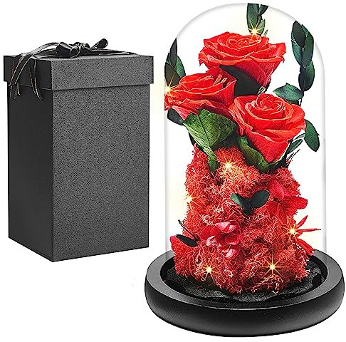 Echte Ewige Rose im Glas Kuppel, Frauen Geschenk Geburtstag, Die Schöne Und Das Biest Konservierte Rosen Blumen, Mama Freundin Ehefrau Oma Geschenk