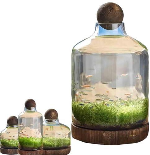 FkYstrix Fish Tank Bowls Plants Aquarium Aquaponic Glass Fish Bottles Clear Hydroponic Plant Terrarium Ecosystem(L, B)