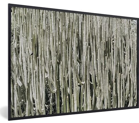 MuchoWow Poster Bilder Wanddeko Deko Wohnzimmer 30x20 cm Kaktus - Natur - Sukkulenten