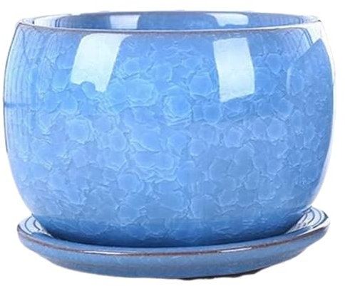LWLYLCHBM Vaso da fiori in ceramica per piante grasse, semplice, con vassoio, per tutte le piante da appartamento, fiori, viola, piante grasse, cactus, vasi per piante grasse, B