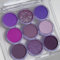 KARLOR Paleta de sombras de ojos, 9 colores, fresca, madura, púrpura, mate brillante, sombra de ojos fina nacarada, sombra de ojos, paleta de sombra de ojos, tono púrpura (05#lila)