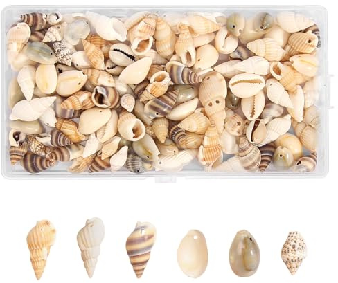 120 Stück Muscheln Deko mit Loch 6 Stile, Natürliche Muscheln für Strand DIY Muscheln zum Basteln für Armbandschmuck, Vase Füllstoffe Fisch Panzer Kerzenherstellung Aquarium Vasenfüller