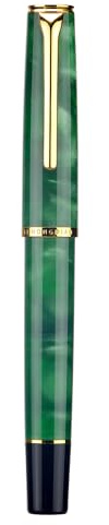 HONG DIAN Penna stilografica a punta fine morbida N12 Piston, acrilico verde erba e design classico aerodinamico con custodia in metallo