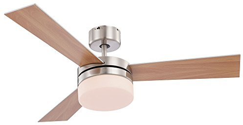 Globo E14 Ceiling Fan with Brushed Chrome Blades, Silver/Beech