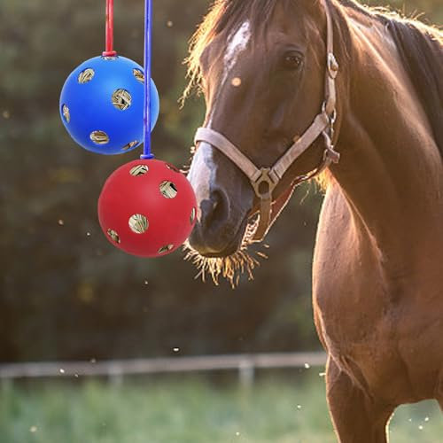 UOIENRT 2 Stück Pferd Leckerli Ball, Ziege Feeder Spielzeug Pferd Heu Ball Pferd Ball für Fütterung Pferd Ziege