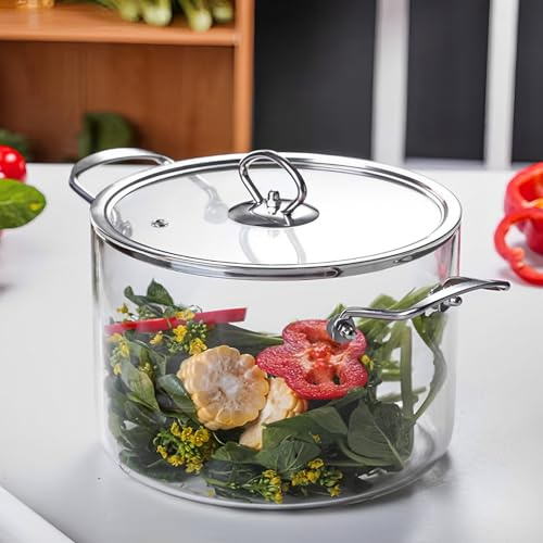 Glastopf mit Deckel -40-300°C 20 x 29,5 cm mit 2 hitzebeständigen Griffen Kürbistopf Antihaft Modern Einfach Glastopf Glastopf Topf Transparent (L)