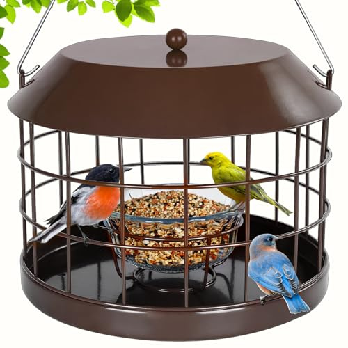 Gbekery Bluebird - Mangiatoia in gabbia per vermi della farina, con ciotola di vetro, a prova di scoiattolo, solo per piccoli uccelli, gancio staccabile, grande spazio, resistente alle intemperie, in
