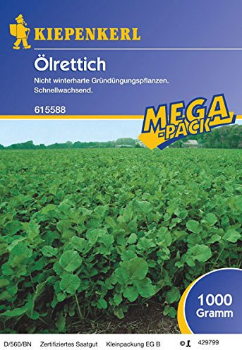 Ölrettich - 1 kg Gründünger Mega-Pack