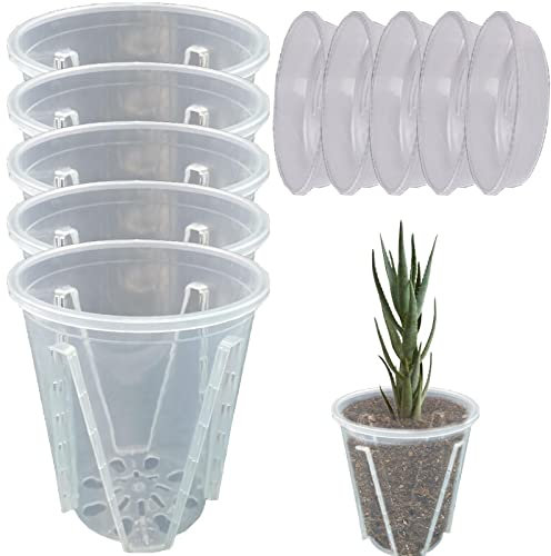Macetas para orquídeas con agujeros, gruesas, ventiladas, para jardinería transparente, macetas redondas para orquídeas, serpiente, menta, cactus