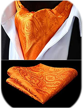 HISDERN Krawattenschal Orange Herren Paisley Hochzeit Ascot Krawatte Taschentuch Business Blumen Halstuch und Einstecktuch Set