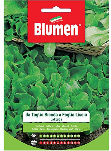 BLUMEN SEMENTI, LATTUGA DA TAGLIO BIONDA A FOGLIA LISCIA