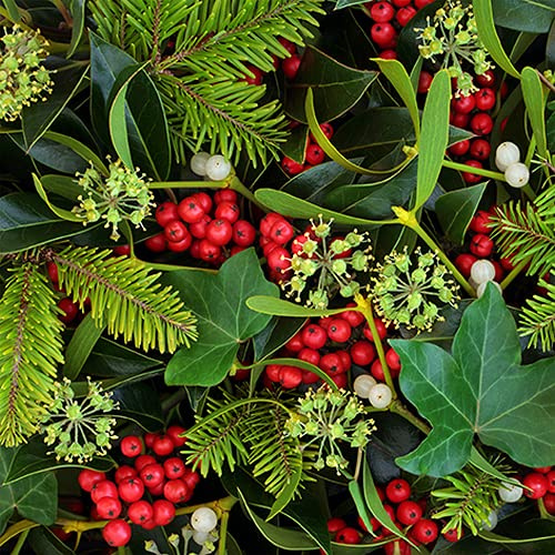 20 Servietten Versteckte Winterbeeren | Zweige | Natur | Winter | Weihnachten | Tischdeko 33x33cm