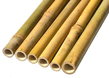 Professional Heavy Duty 2FT, 3FT, 4FT, 5FT, 6FT, 7FT Strong Bamboo Plant Stakes Plant Support Canes, Best for Early Growth Young Plants and Trees-Available in Different Packs (10, 4ft, 14-16 mm)
