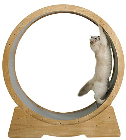 DIIDIIFF Katzenlaufrad, Übungslaufband für Hauskatzen, kleines/mittleres Laufrad für Haustiere, geräuschlos, Katzen-Klettergerüst, drehendes Gewichtsverlustgerät, Spielzeug