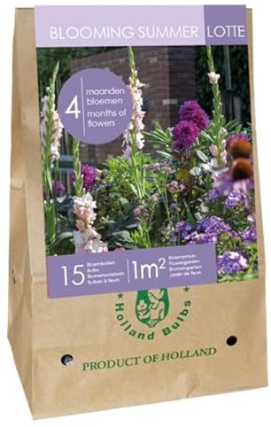 Jub - Mix Bulbes Fleurs été Mauves