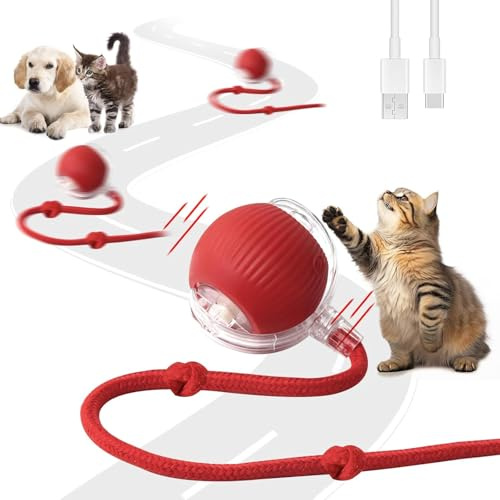 2 Pezzi Giocattolo Interattivo per Gatti, Palla Elettrica, Ricaricabile Giochi per Gatti da Caccia con 3 Modalità, Palla Automatica Intelligente Elettrico Palla Rotante a 360 Gradi per Gatti e Cani