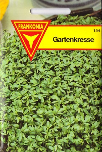 Gartenkresse, Lepidium sativum, Kresse, ca. 2000 Samen