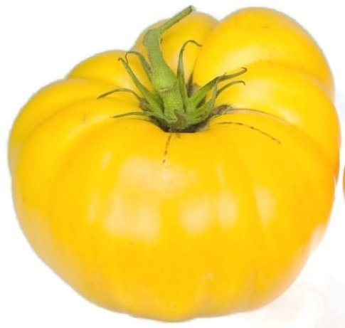 Graines de tomate, jaune Brandywine, tomates jaunes, tomates Heirloom non Ogm 50ct