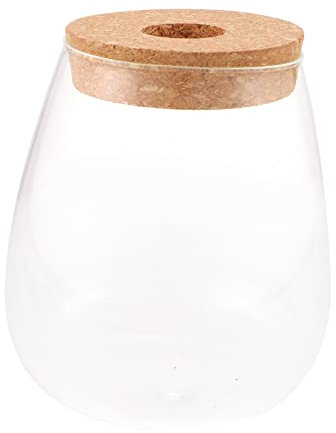 Yardenfun Elegante Mikro-Landschaft Flasche Hydrokultur Pflanzen Glas Display Moderne Home Stil