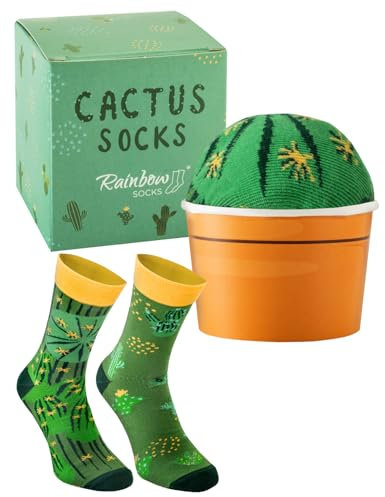 Rainbow Socks - Cactus in a pot – green cactus socks for women and men – funny gift for fans of cacti, succulents, green plants – gift for birthday, Mother’s Day, Christmas - Size 7,5-11