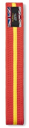Playwell Martial Arts Baumwollgürtel mit verschiedenen farbigen Streifen – (Karate, Judo Taekwondo), Oranger Gürtel mit gelben Streifen, 220cm