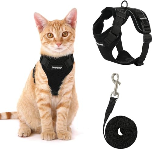 Fellnasenstube - SafeCat™ Katzengeschirr atmungsaktiv mit Leine (Schwarz,S)