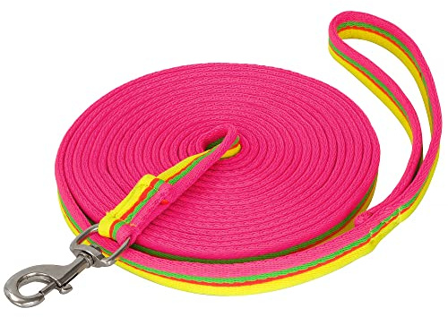 Start Longierleine für Reitsport – Pferdelonge 8 m aus Nylon – Softlonge mit Handschlaufe & Karabiner – rutschfeste Longe für Pferd (Neonpink/Neongrün-orange/Neongelb)