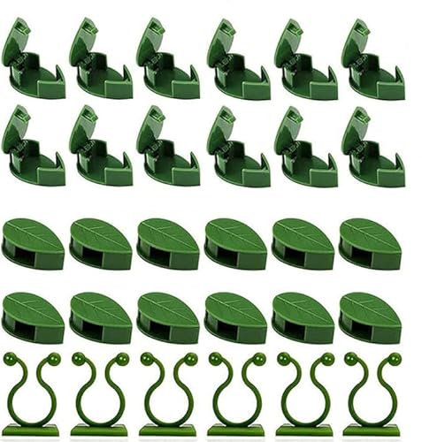 Huamirra Kletterpflanzen, 60 Stück Pflanzenclips, für Kletterpflanzen Wand Heimdekoration, Pflanzen Clips Wand, Selbstklebende Pflanzenklammern