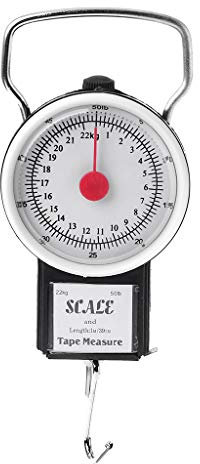 Lazder Balance numérique portable à suspendre pour valise, 22 kg, hameçon, balance de cuisine avec mètre ruban, balance de pêche, Comme sur les photos., M