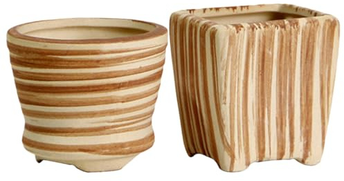 PRETYZOOM 2piezas Macetas Cerámicas para Suculentas Cactus Hierbas y Flores Orificio De Drenaje Decorativas