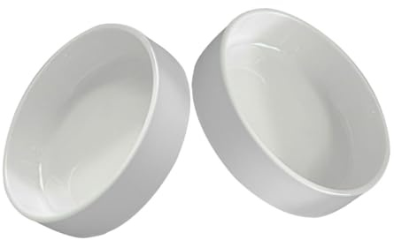BAZEITFLOW Soucoupe en Céramique Blanche pour Pot de Fleurs Intérieur et Extérieur, Lot de 2 Pièces, Plateau Rond pour Jardinière, Prévient Le Débordement d'eau et Garde Propre