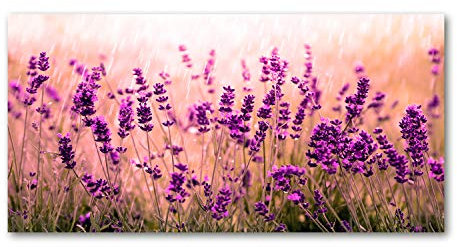 Tulup Leinwandbild - Wandkunst - Drucke auf Leinwand - Leinwanddruck -100x50 cm - Blumen & Pflanzen - Lila - Lavendel