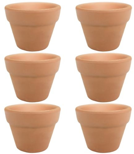 Molyorch Vaso in terracotta di succulente cactus, vaso per fiori all'aperto terracotta, per cactus, fiori, piante grasse, per giardinaggio, fai da te, regali di nozze (10 x 10 cm)