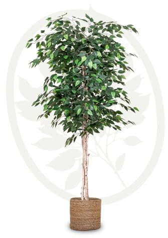 Maia Shop - Kunstpflanze, Künstlicher Ficus 180 cm, Kunstpflanze groß mit Naturstamm, Kunstbaum für Wohnzimmer Deko, Fake Plants