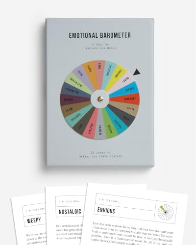 The School of Life Emotionales Barometer – Ein Werkzeug zum Erklären unserer Stimmungen