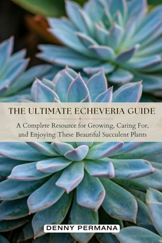 The Ultimate Echeveria Guide: A Complete Resource for Growing, Caring for, and Enjoying These Beautiful Echeveria Succulents!