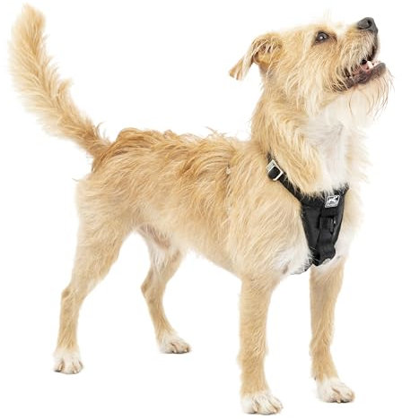 Kurgo Tru-Fit Hundegeschirr, Crash-Test-erprobtes Auto-Sicherheitsgurt, Für Hunde von 2 bis 5 kg, Größe XS, Schwarz