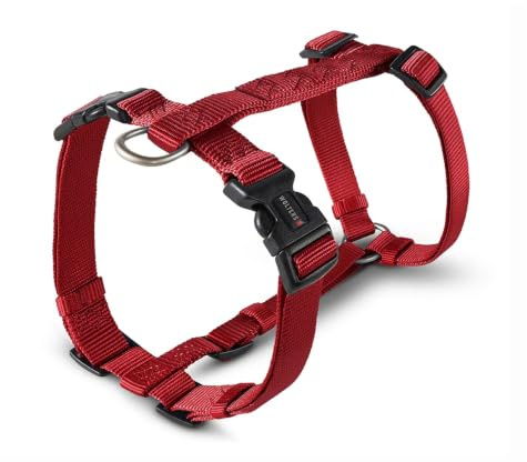 WOLTERS - Geschirr Professional für Mops&Co. - Gr.M 40-55cm x 15mm - rot